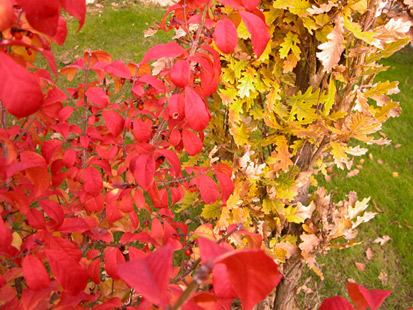 in the monastery yard